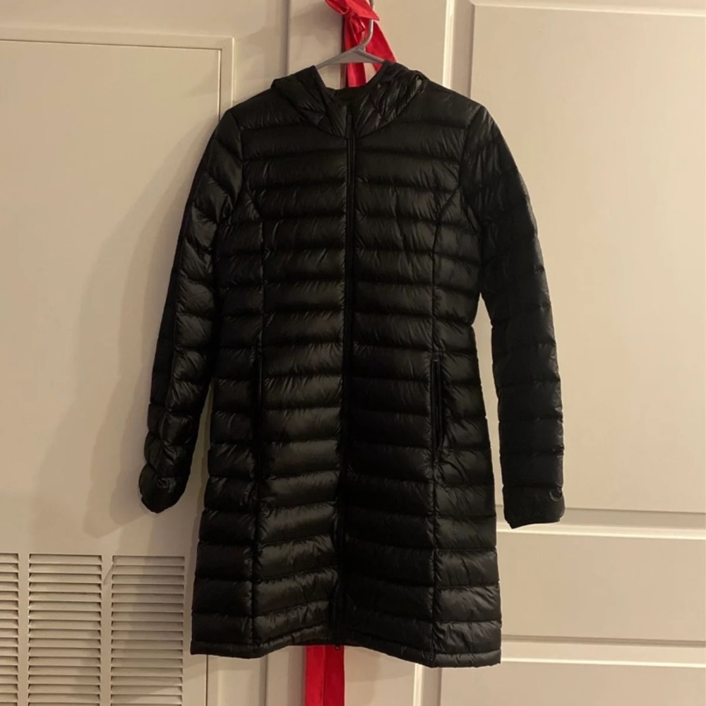 Aritzia Botanie Long Puffer